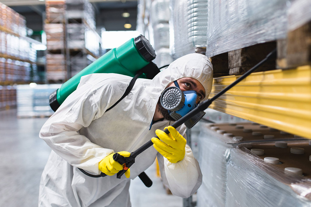 Impresa di Pulizie Viterbo per Sanificazioni